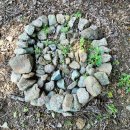 회천면 회령시장경로당 | 보성 회천면 팽나무는 보는것만으로도 힐링이다.