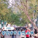 중앙대 광장 | 중국 하얼빈 중앙대가 위치 및 코스 동선 방문 팁