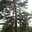 동해대로 이미지