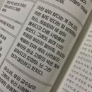 굄 이미지