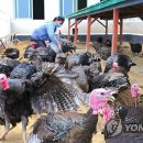 청해농장 이미지