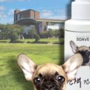 기장동물약국 이미지