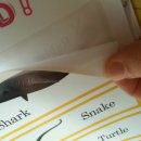 (주)빅토리아프로덕션 이미지