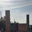 부부건강원 - 사천시 갈대샘길 69 | 동탄 부부티하우스 후기｜차와 디저트가 맛있는 감성 티룸