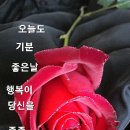 청해요 이미지