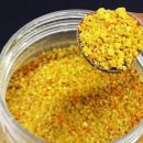 화분인간 이미지