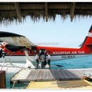 경희대학교 국제법무대학원 이미지