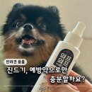 와프 | 강아지 산책 필수템 반려견 벌레기피제 와프와프 후기