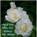 힐링주유소 이미지