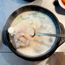 돈수백 | 가성비 좋은 홍대밥집 추천 9천원 국밥맛집 돈수백 홍대점 솔직 후기