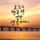비엔비 Daum카페