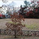 부소산성 서복사지 이미지