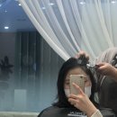 펠리아엠(동의과학대점)