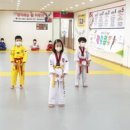 경희대 태권나라 태권도장 이미지
