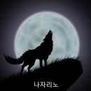 Sarah Brightman - When a child is born (나자리노 OST) 이미지