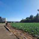 돌고래공인중개사사무소 이미지