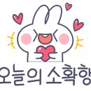 아워플로라