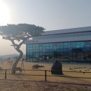 삼화목장 이미지