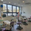 서울더스마일치과의원 경향신문