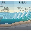 시속 800km의 그림자, 지진해일 이미지