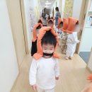 독도참가자미
