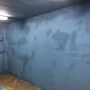 페티즈(petis) 이미지