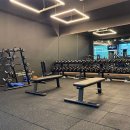 브라운 휘트니스 이미지