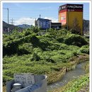 만종의원 이미지