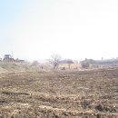 태백농장 이미지