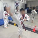 금빛호수 태권도 옥수관 이미지