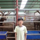 평동농장 이미지