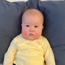 꼬꼬놀이터 | 일기] 100일-120일 (모유수유 단유, 젖몸살, 꼬꼬맘, 놀이터산책, 말랑하니수유등, 치발기, 통잠, 백일...