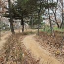 인창중앙공원(산책로) 이미지