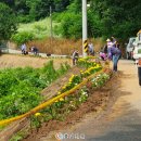 수곡1리 이미지