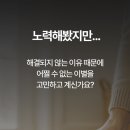 동물보육원 이미지