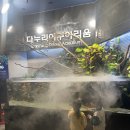 단양군평생학습센터 1층 | [단양 가볼 만한 곳] 다누리 아쿠아리움-우리 아이가 반한 곳