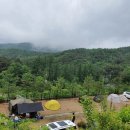 예손농원캠핑장 이미지