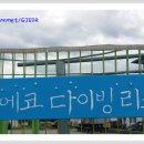 거진에코다이빙 리조트