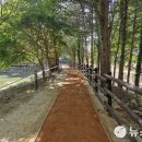 태평어린이공원 이미지