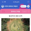 월성박씨종중묘역 이미지