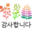 프로토탈크리닝 이미지