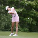 레이디폼 이미지