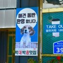 박*대