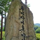 모현읍 다목적구장 | #9-1.용인자연휴양림_카라반4호,느티골계곡,한식뷔페식당[2024.07] 1일차