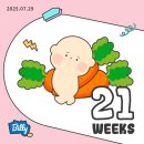 한일중기 | [임신일기.9] 임신 21주, 22주차 임신중기 정밀초음파 후기