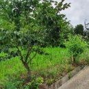 지내원당로 이미지