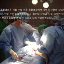 겨울나는나비 동물병원 이미지