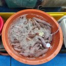 청명식당 | 당진 삽교호 전망대종합어시장 찐 후기! 제철 알배기 쭈꾸미(주꾸미) &#39;청명수산&amp;양념코너 1관&#39; #내돈내산