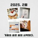 [2025년 2월] 겨울의 끝은 봄의 시작이다.