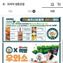피자는여기 영등포점 이미지